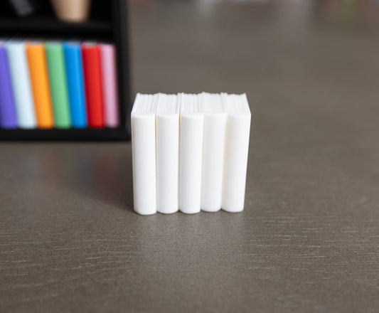Blank Mini Books x5